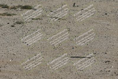 media/Oct-12-2025-Lucky Dog Racing (Sun) [[8adb5568ea]]/1-First Stint/6-Turns 2 and 1 Exit/